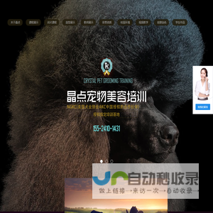 晶点宠物美容培训学校 - 沈阳宠物美容师培训学校