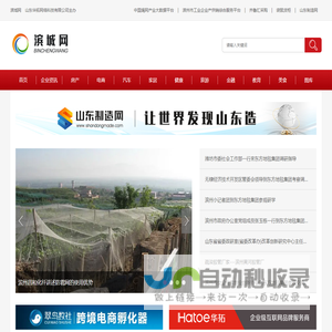 滨州企业资讯网站_滨州资讯网站_滨城资讯网站―滨城网